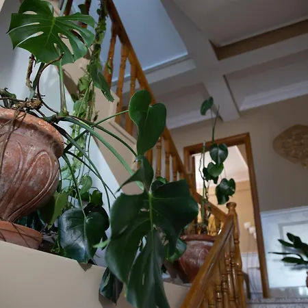 منزل للإقامة Kaci *